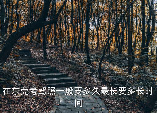 東莞快速考駕駛證，東莞市在哪里考駕駛證