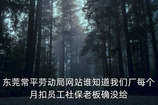 東莞常平勞動(dòng)局網(wǎng)站誰知道我們廠每個(gè)月扣員工社保老板確沒給