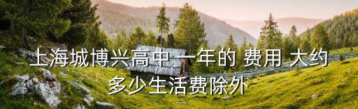 上海城博興高中 一年的 費用 大約多少生活費除外