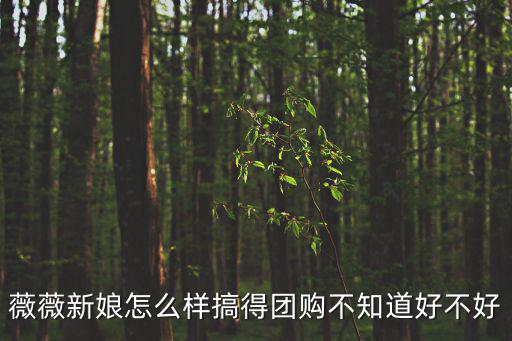 薇薇新娘怎么樣搞得團購不知道好不好