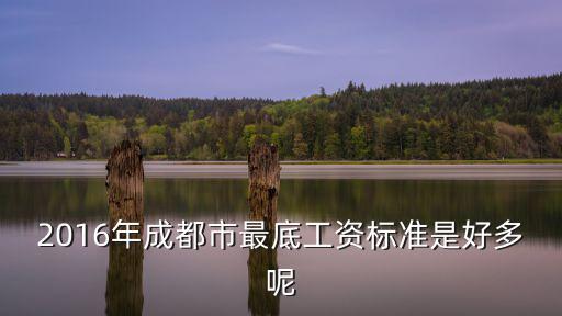 成都市2016農(nóng)民工工資多少錢，2016年成都市統(tǒng)籌地區(qū)職工平均工資是多少