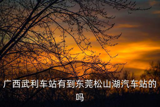 廣西武利車站有到東莞松山湖汽車站的嗎