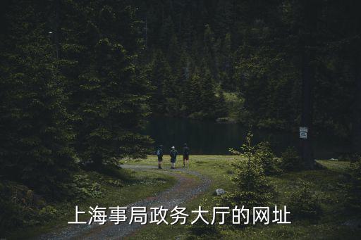 上海事局政務(wù)大廳的網(wǎng)址