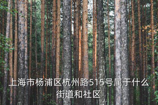 上海市楊浦區(qū)社區(qū)管理，上海市楊浦區(qū)國和路1069弄是屬于哪個(gè)居委會(huì)的