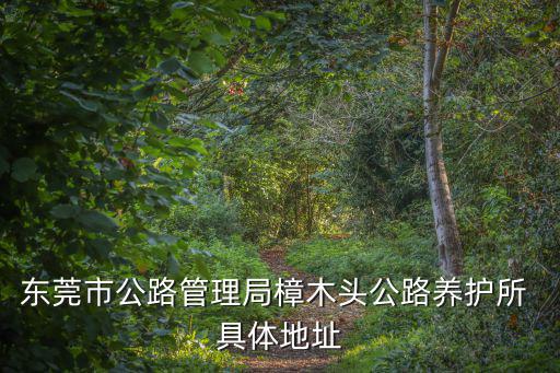 東莞市公路管理局樟木頭公路養護所 具體地址
