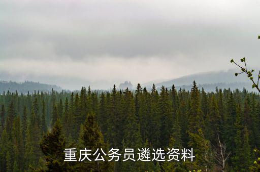 重慶公務員遴選資料