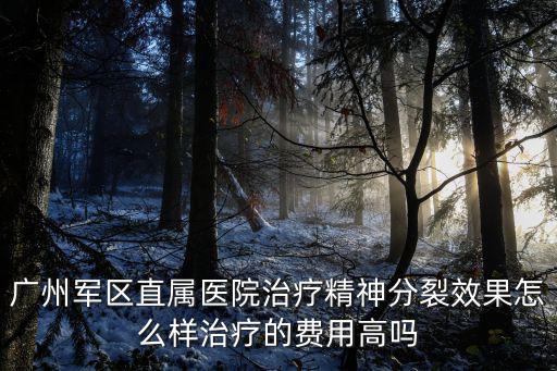 廣州軍區(qū)直屬醫(yī)院治療精神分裂效果怎么樣治療的費用高嗎
