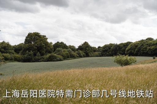 上海岳陽醫院特需門診部幾號線地鐵站