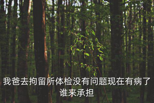 我爸去拘留所體檢沒有問題現(xiàn)在有病了誰來承擔(dān)