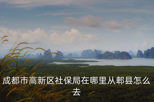 高新區(qū)戶口成都市社保局，成都市高新區(qū)社保局