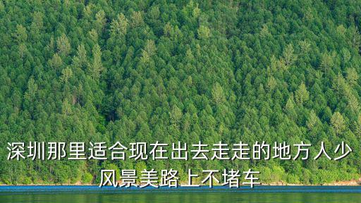 深圳那里適合現(xiàn)在出去走走的地方人少風(fēng)景美路上不堵車