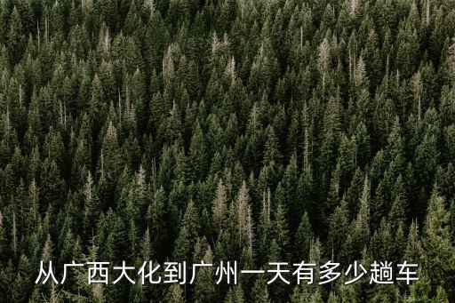 從廣西大化到廣州一天有多少趟車