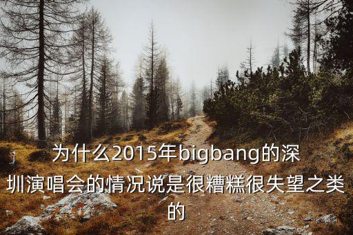 韓紅深圳市2015演唱會，韓紅曾經和一個年輕男的在一個演唱會上唱了美麗的神話但是那個