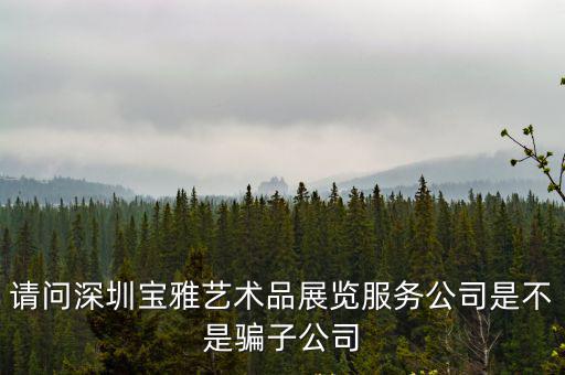 深圳寶雅藝術品公司，寶雅藝術品有限公司待遇怎么樣
