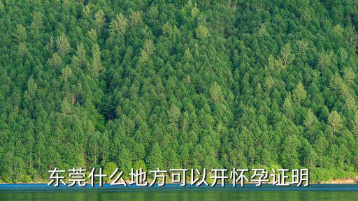 東莞什么地方可以開懷孕證明