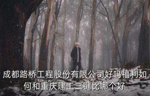 成都路橋工程股份有限公司好嗎福利如何和重慶建工三鍵比哪個好