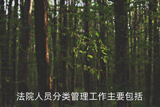 法院人員分類管理工作主要包括