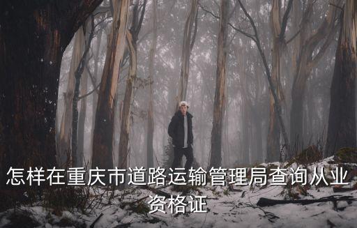 重慶市運管局，怎樣在重慶市道路運輸管理局查詢從業資格證