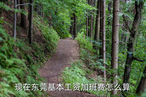現(xiàn)在東莞基本工資加班費怎么算