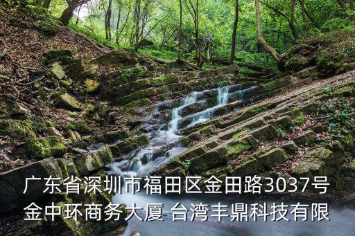 廣東省深圳市福田區(qū)金田路3037號金中環(huán)商務(wù)大廈 臺灣豐鼎科技有限