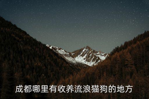 成都哪里有收養流浪貓狗的地方