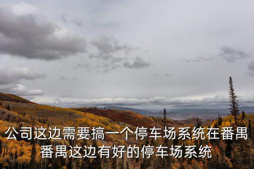 公司這邊需要搞一個停車場系統在番禺番禺這邊有好的停車場系統