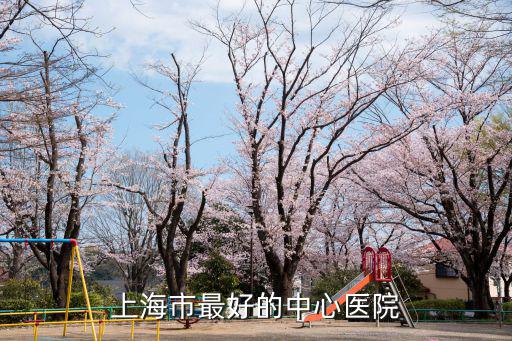 上海市普通中心醫院，上海市最好的中心醫院