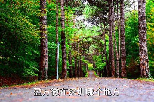 深圳走美杯，盈方微在深圳哪個地方