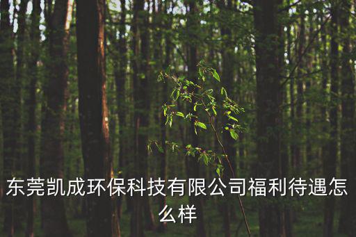 東莞凱成廠，東莞凱成環(huán)保科技有限公司福利待遇怎么樣