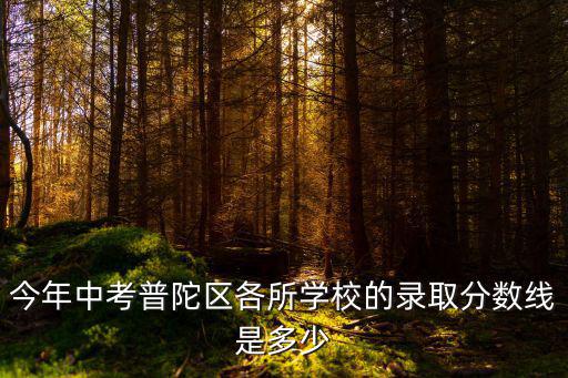 今年中考普陀區各所學校的錄取分數線是多少