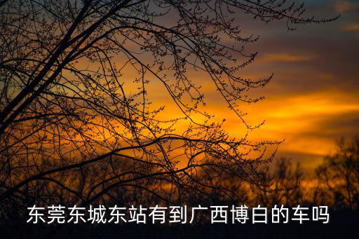 東莞東城東站有到廣西博白的車嗎