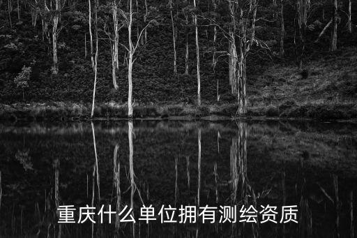重慶市勘察測繪，重慶市有那些勘察單位