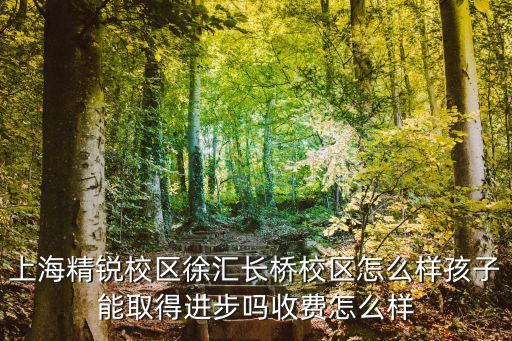上海精銳校區(qū)徐匯長橋校區(qū)怎么樣孩子能取得進(jìn)步嗎收費(fèi)怎么樣