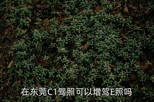在東莞C1駕照可以增駕E照嗎