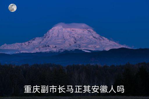 解放后重慶市副市長，重慶副市長馬正其安徽人嗎