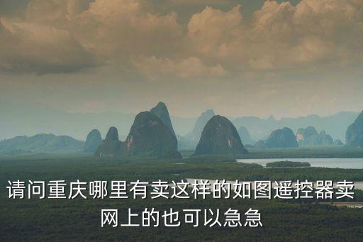 請問重慶哪里有賣這樣的如圖遙控器賣網上的也可以急急