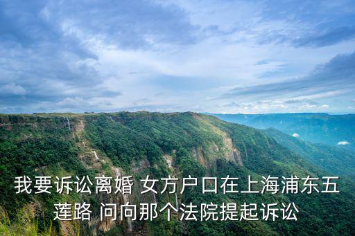 上海市浦東新區(qū)金橋法庭，我要訴訟離婚 女方戶口在上海浦東五蓮路 問向那個(gè)法院提起訴訟