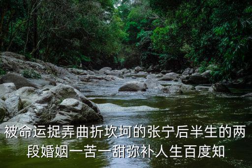 被命運捉弄曲折坎坷的張寧后半生的兩段婚姻一苦一甜彌補人生百度知