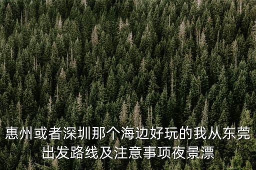 惠州或者深圳那個(gè)海邊好玩的我從東莞出發(fā)路線及注意事項(xiàng)夜景漂