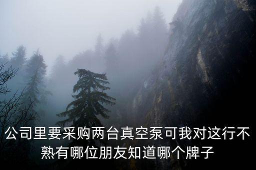 公司里要采購兩臺真空泵可我對這行不熟有哪位朋友知道哪個牌子