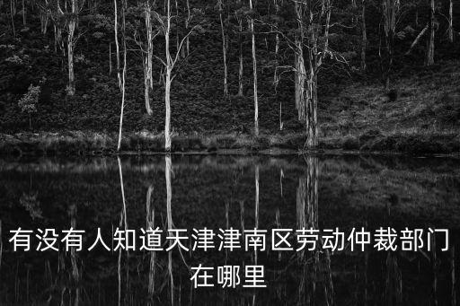 有沒有人知道天津津南區勞動仲裁部門在哪里