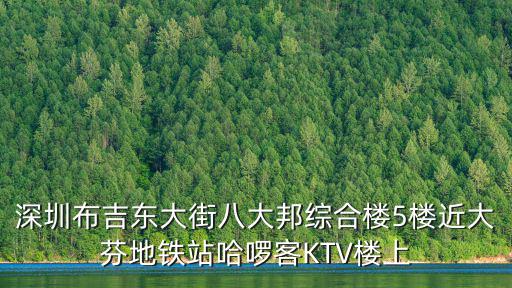深圳布吉東大街八大邦綜合樓5樓近大芬地鐵站哈啰客KTV樓上