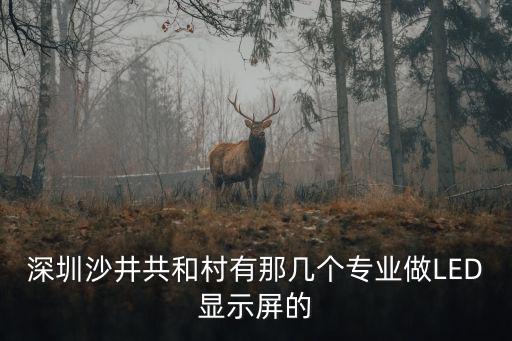 深圳沙井共和村有那幾個專業(yè)做LED顯示屏的