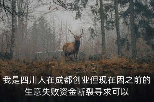 我是四川人在成都創(chuàng)業(yè)但現(xiàn)在因之前的生意失敗資金斷裂尋求可以