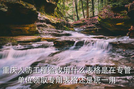 重慶市政府驗(yàn)收表，重慶土方開(kāi)挖工程檢驗(yàn)批質(zhì)量驗(yàn)收記錄表如何填寫(xiě)