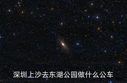深圳上沙去東湖公園做什么公車