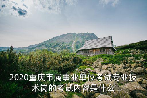 重慶市專業技術人員年度考核，重慶市建設行業專業技術管理人員職業資格考試成績在哪里查