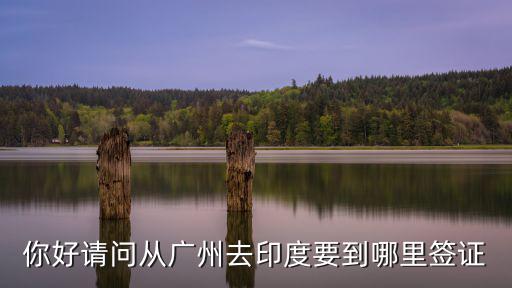 你好請(qǐng)問(wèn)從廣州去印度要到哪里簽證