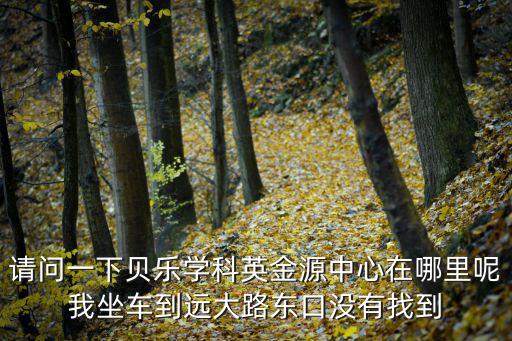 請問一下貝樂學科英金源中心在哪里呢我坐車到遠大路東口沒有找到