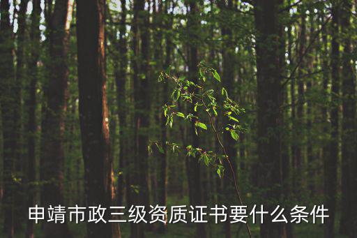 申靖市政三級資質證書要什么條件